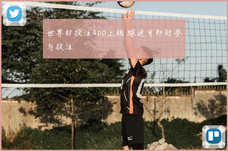 世界杯投注App上线 球迷可即时参与投注
