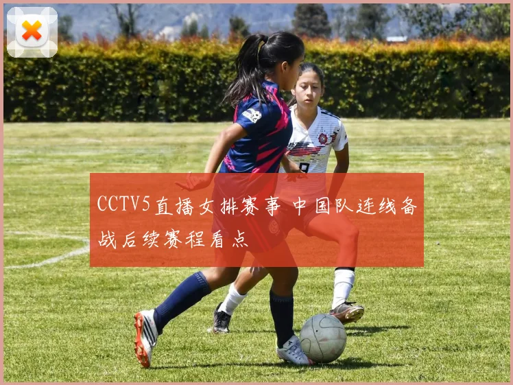CCTV5直播女排赛事 中国队连线备战后续赛程看点