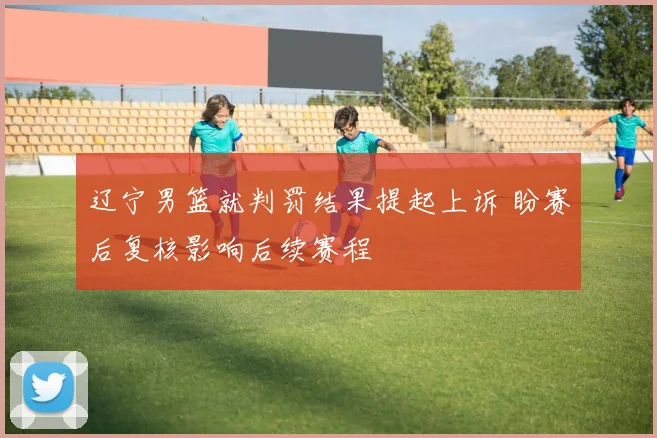 辽宁男篮就判罚结果提起上诉 盼赛后复核影响后续赛程